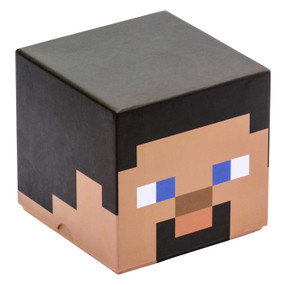 Minecraft: Steve Block Stationery Set by Insights, 9781647228231