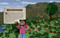 Minecraft: Mobspotter's Encyclopedia (The Ultimate Guide to the Mobs of Minecraft) by Mojang AB, The Official Minecraft Team, 9780593599648
