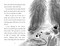 Fenway and the Great Escape by Victoria J. Coe, Joanne Lew-Vriethoff, 9780593407011