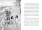 She Persisted: Deb Haaland by Laurel Goodluck, Chelsea Clinton, Alexandra Boiger, Gillian Flint, 9780593620694