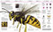 Knowledge Encyclopedia (The World as You've Never Seen it Before) by DK, 9780744081466