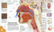 Knowledge Encyclopedia (The World as You've Never Seen it Before) by DK, 9780744081466