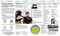 Knowledge Encyclopedia (The World as You've Never Seen it Before) by DK, 9780744081466