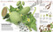 Knowledge Encyclopedia Plants and Fungi! (Our Growing World as You've Never Seen It Before) by DK, 9780744084719
