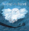 The Owl Who Dared by Stephanie Stansbie, Frances Ives, 9781664300330