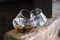 Rocking Whisky Glasses, Set of 2, 840214800498