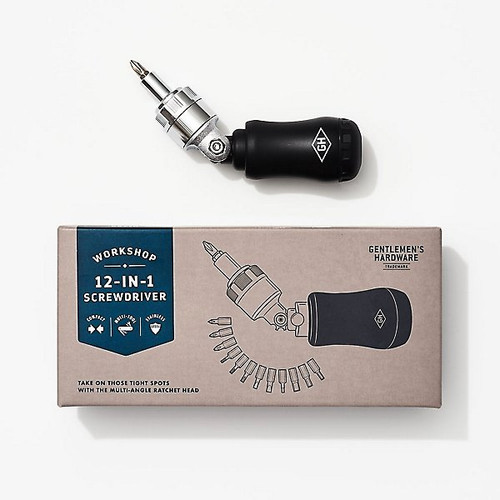 12-in-1 Screwdriver, 840214806513