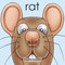 Rat - 9780473403362 by Martin Bailey, 9780473403362