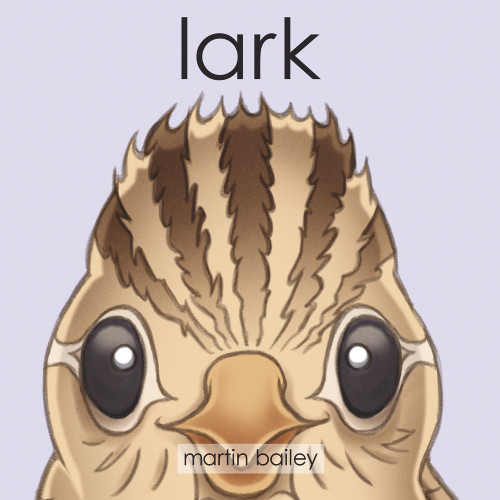 Lark by Martin Bailey, 9780995109322