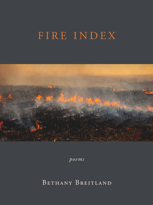Fire Index (Poems) by Bethany Breitland, 9798987070796