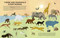 Mammals Everywhere by Camilla de la Bedoyere, Britta Teckentrup, 9781536232622