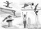 She Persisted: Simone Biles by Kekla Magoon, Chelsea Clinton, Alexandra Boiger, Gillian Flint, 9780593620670