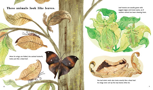 Find Out About Animal Camouflage by Martin Jenkins, Jane McGuinness, 9781536228366
