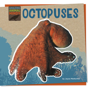 Octopuses - 9781668927915 by Joyce Markovics, 9781668927915