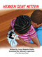 Heaven Sent Kitten (A True Story about Prayer) by Ivory Roberts-Clarke, 9781949106909