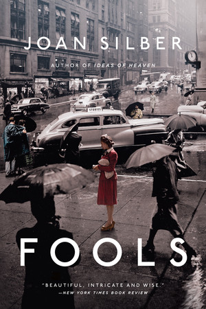 Fools (Stories) by Joan Silber, 9780393348897