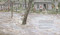 Runaway Pond by Nancy Price Graff, Bagram Ibatoulline, 9781536219982
