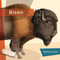 Bison - 9781682770726 by Melissa Gish, 9781682770726