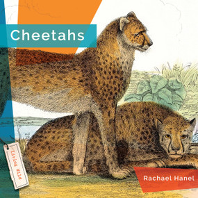 Cheetahs - 9781682770733 by Rachael Hanel, 9781682770733