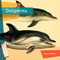 Dolphins - 9781682770757 by Jason Skog, 9781682770757