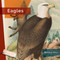 Eagles - 9781682770764 by Melissa Gish, 9781682770764