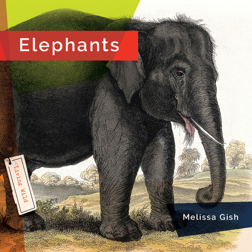 Elephants - 9781682770771 by Melissa Gish, 9781682770771