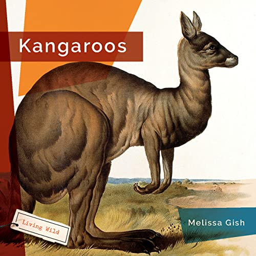 Kangaroos - 9781682770795 by Melissa Gish, 9781682770795