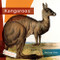 Kangaroos - 9781682770795 by Melissa Gish, 9781682770795