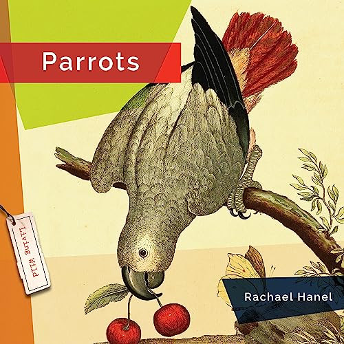 Parrots - 9781682770849 by Rachael Hanel, 9781682770849