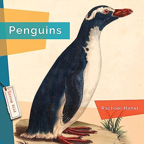 Penguins - 9781682770856 by Rachael Hanel, 9781682770856