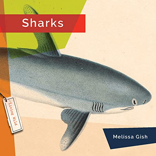 Sharks - 9781682770870 by Melissa Gish, 9781682770870