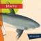 Sharks - 9781682770870 by Melissa Gish, 9781682770870