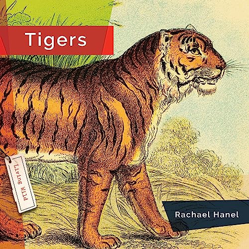 Tigers - 9781682770887 by Rachael Hanel, 9781682770887