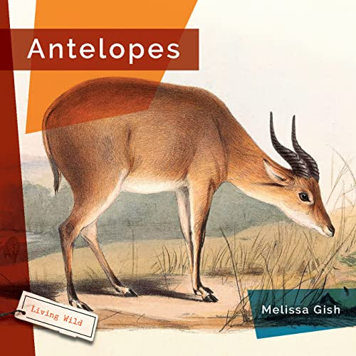 Antelopes - 9781682771495 by Melissa Gish, 9781682771495