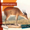 Antelopes - 9781682771495 by Melissa Gish, 9781682771495