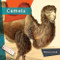 Camels - 9781682771518 by Melissa Gish, 9781682771518