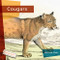 Cougars - 9781682771532 by Melissa Gish, 9781682771532