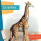 Giraffes - 9781682771549 by Nicole Helget, 9781682771549