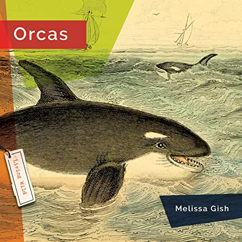 Orcas - 9781682771570 by Melissa Gish, 9781682771570