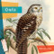 Owls - 9781682771617 by Melissa Gish, 9781682771617
