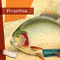 Piranhas - 9781682771624 by Melissa Gish, 9781682771624