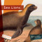 Sea Lions - 9781682771648 by Melissa Gish, 9781682771648