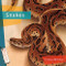 Snakes - 9781682771655 by Teresa Wimmer, 9781682771655