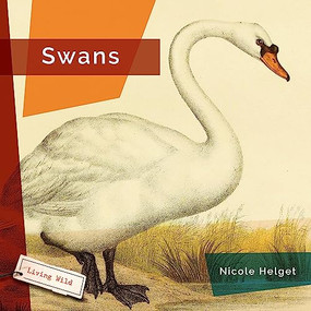 Swans - 9781682771662 by Nicole Helget, 9781682771662