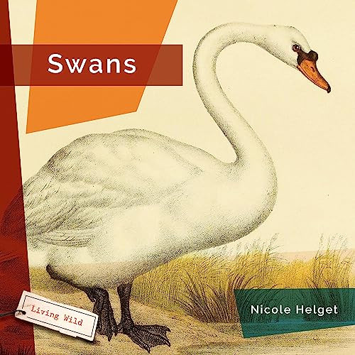 Swans - 9781682771662 by Nicole Helget, 9781682771662