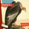 Vultures - 9781682771686 by Melissa Gish, 9781682771686