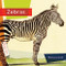 Zebras - 9781682771716 by Melissa Gish, 9781682771716