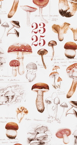 Mushroom Study Academic July 2023 - June 2025 3.5" x 6.5" 2-Year Pocket Planner by Willow Creek Press, 9781549238031