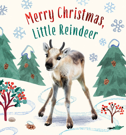 Merry Christmas, Little Reindeer (A Board Book) by Amanda Wood, Bec Winnel, Vikki Chu, 9781419769498