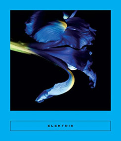 Elektrik (Caribbean Writing) by Sarah Coolidge, Mireille Jean-Gilles, Gaël Octavia, Fabienne Kanor, Marie-Célie Agnant, Kettly Mars, Adlyne Bonhomme, Suzanne Dracius, Gerty Dambury, 9781949641509
